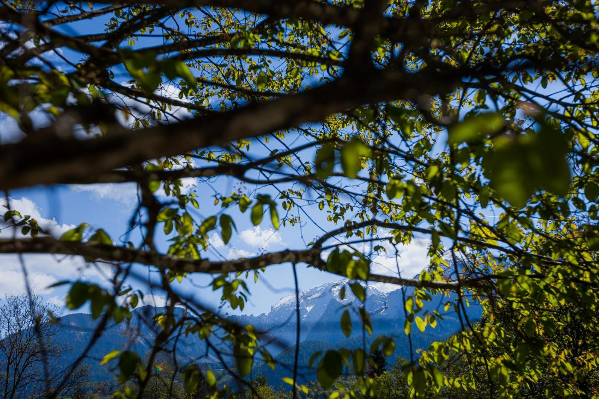 Waldklause Lejlighed Schönau am Königssee Eksteriør billede